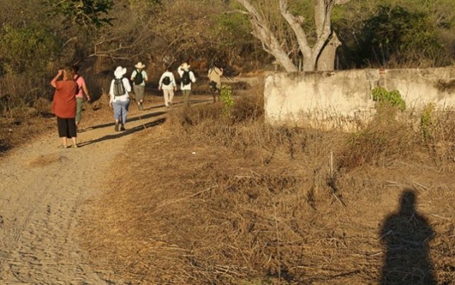  Walking group 